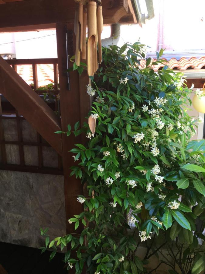 Apartment Garden Malinska Exteriör bild